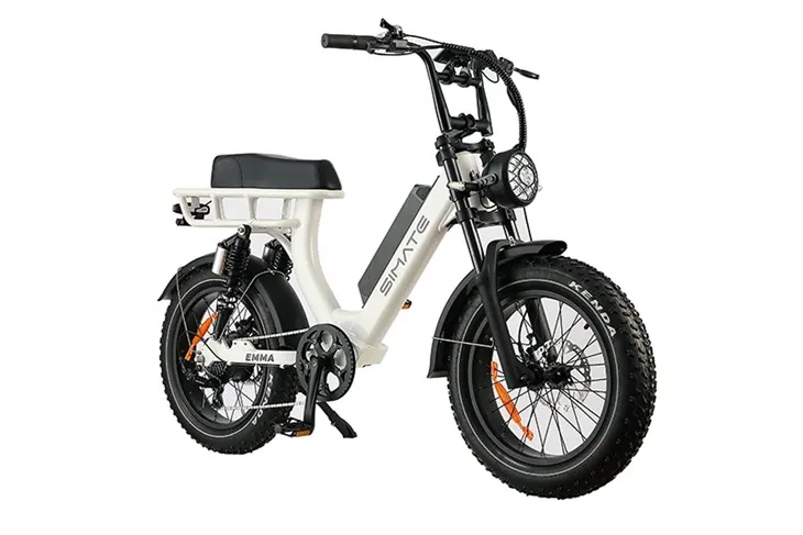 Fat Tire elektrische mountainbike