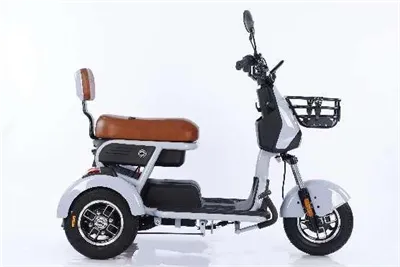 Elektrische fietsen met drie wielen
